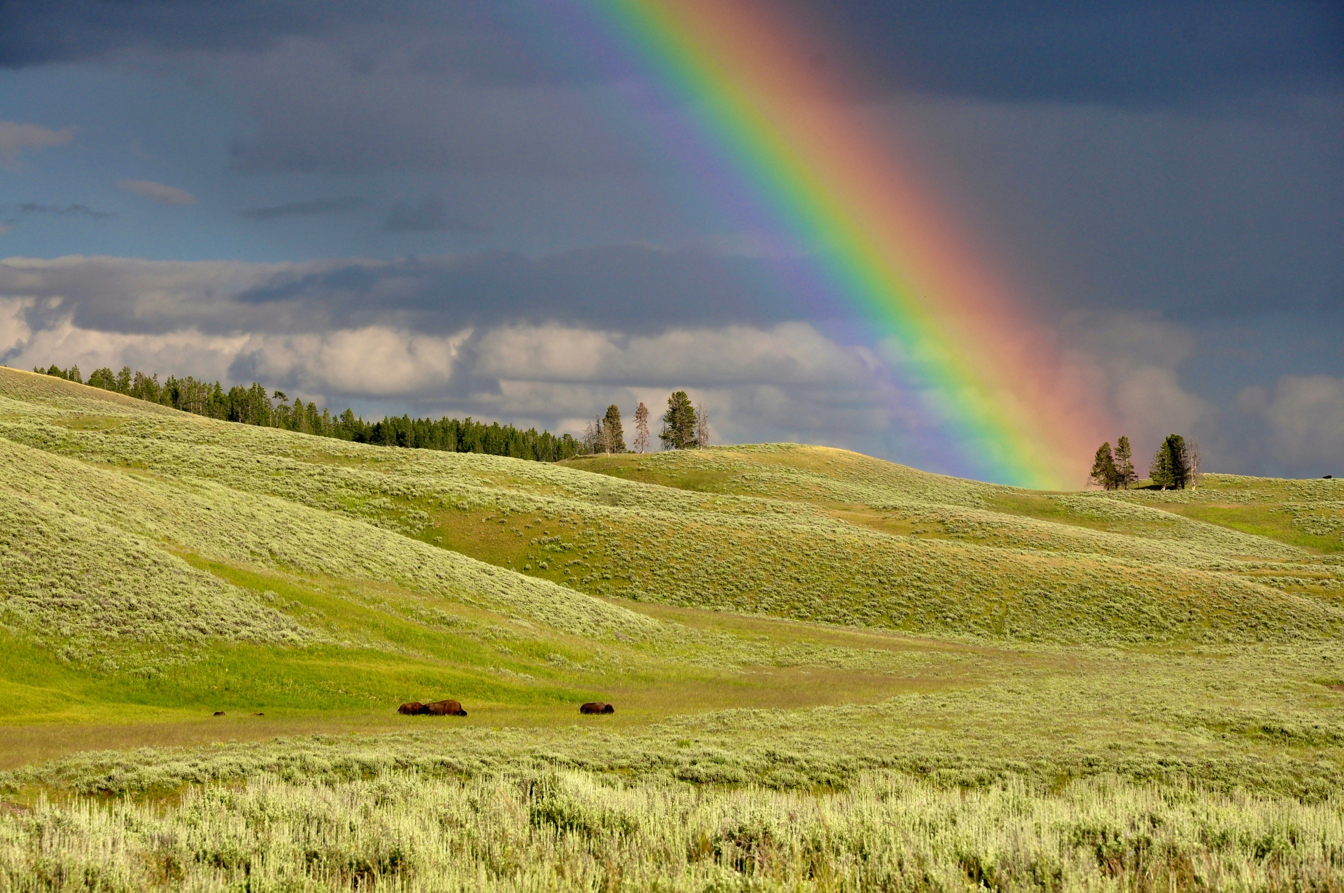 rainbow near green grass ranges